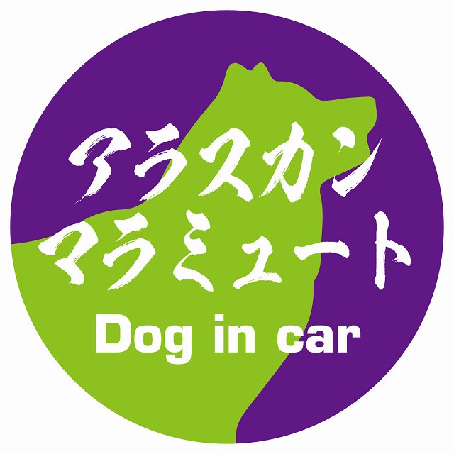 Dog in car アラスカンマラミュート 毛筆書体 パープルグリーン ステッカー 直径10cm 丸型 シール カーステッカー
