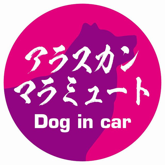Dog in car アラスカンマラミュート 毛筆書体 ピンクパープル ステッカー 直径10cm 丸型 シール カーステッカー
