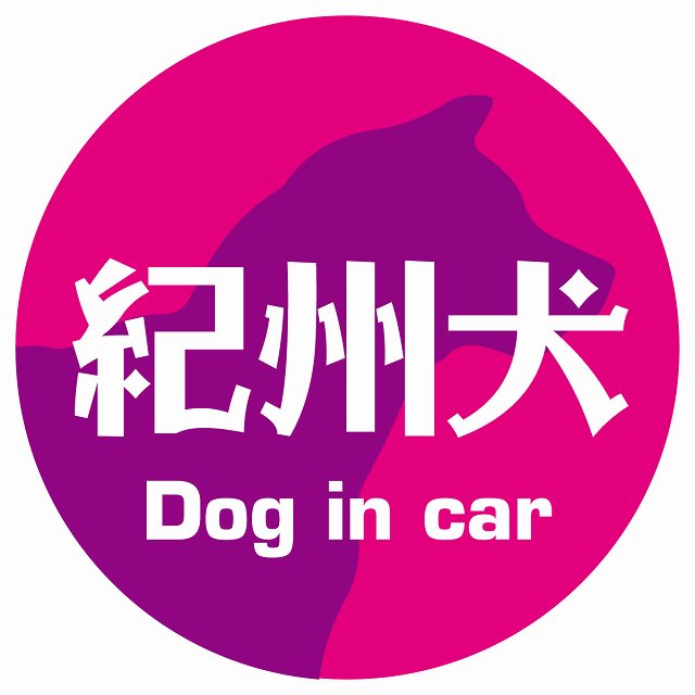 Dog in car 紀州犬 レトロ書体 ピンクパープル ステッカー 直径10cm 丸型 シール カーステッカー