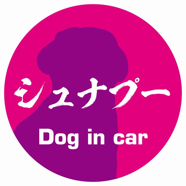 Dog in car シュナプー 毛筆書体 ピンクパープル ステッカー 直径10cm 丸型 シール カーステッカー