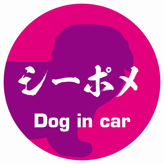 Dog in car シーポメ 毛筆書体 ピンクパープル ステッカー 直径10cm 丸型 シール カーステッカー