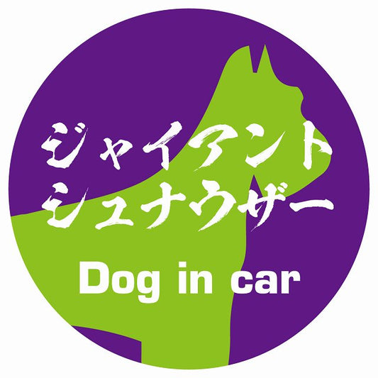 Dog in car ジャイアントシュナウザー 毛筆書体 パープルグリーン ステッカー 直径10cm 丸型 シール カーステッカー