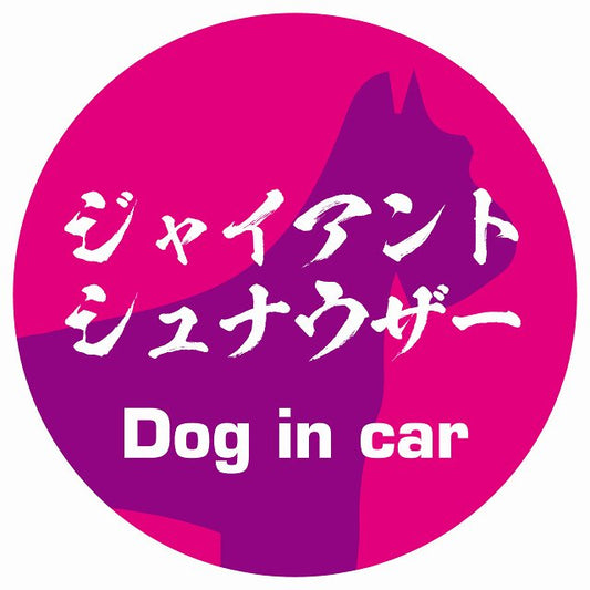 Dog in car ジャイアントシュナウザー 毛筆書体 ピンクパープル ステッカー 直径10cm 丸型 シール カーステッカー