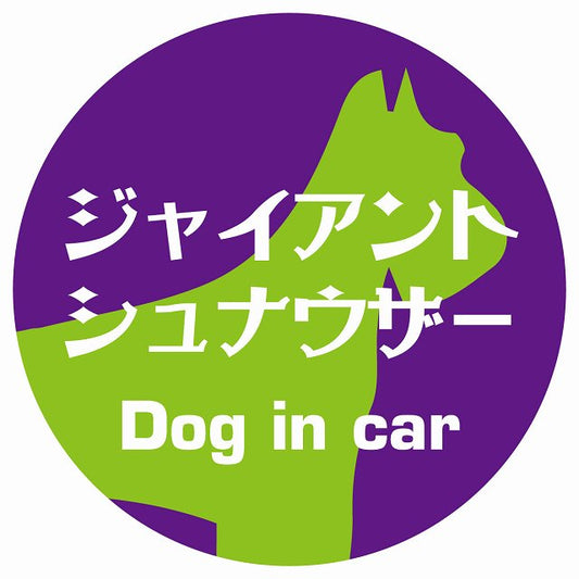 Dog in car ジャイアントシュナウザー レトロ書体 パープルグリーン ステッカー 直径10cm 丸型 シール カーステッカー