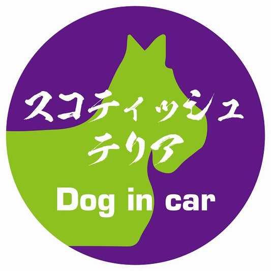 Dog in car スコティッシュテリア 毛筆書体 パープルグリーン ステッカー 直径10cm 丸型 シール カーステッカー