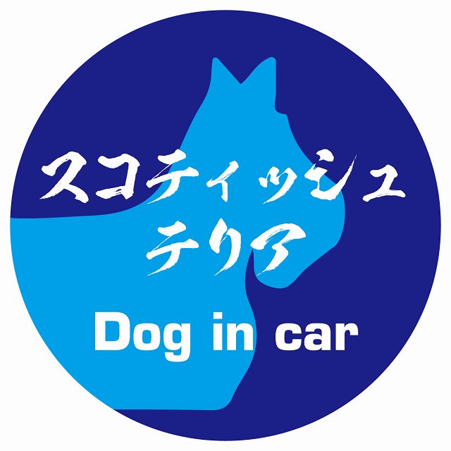 Dog in car スコティッシュテリア 毛筆書体 ブルー ステッカー 直径10cm 丸型 シール カーステッカー