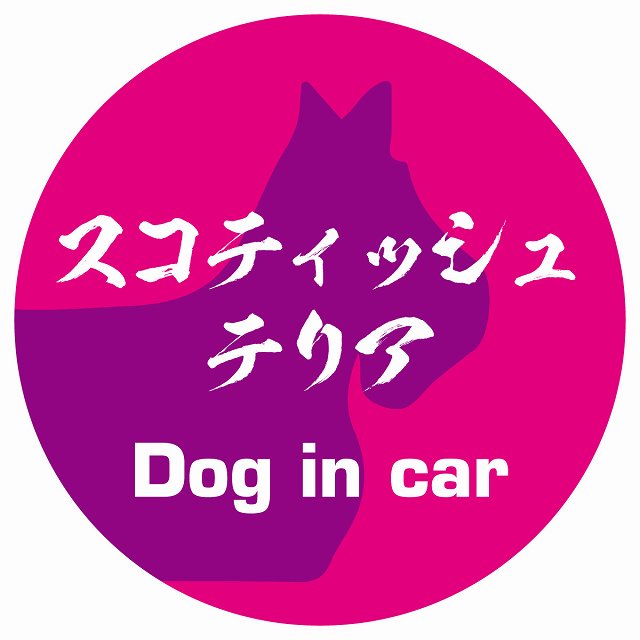 Dog in car スコティッシュテリア 毛筆書体 ピンクパープル ステッカー 直径10cm 丸型 シール カーステッカー