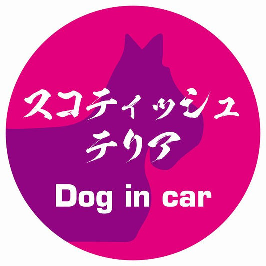 Dog in car スコティッシュテリア 毛筆書体 ピンクパープル ステッカー 直径10cm 丸型 シール カーステッカー