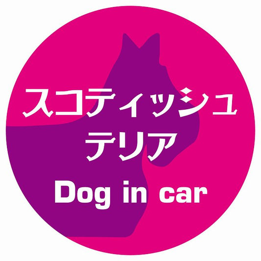 Dog in car スコティッシュテリア レトロ書体 ピンクパープル ステッカー 直径10cm 丸型 シール カーステッカー
