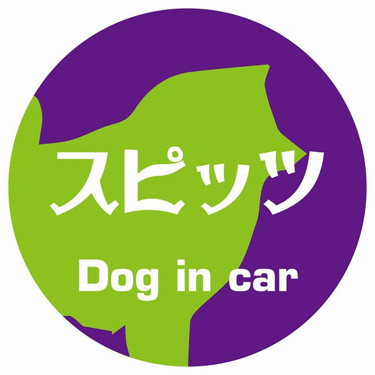 Dog in car スピッツ レトロ書体 パープルグリーン ステッカー 直径10cm 丸型 シール カーステッカー