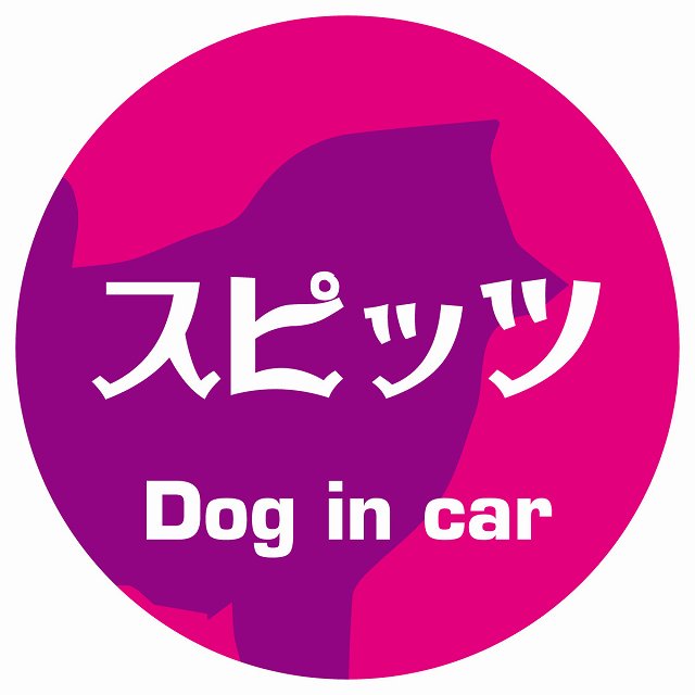 Dog in car スピッツ レトロ書体 ピンクパープル ステッカー 直径10cm 丸型 シール カーステッカー