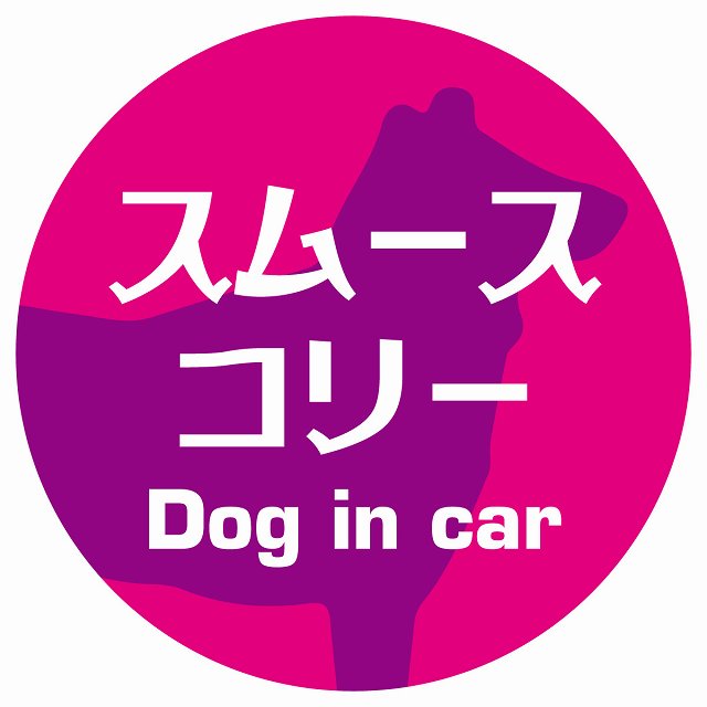 Dog in car スムースコリー レトロ書体 ピンクパープル ステッカー 直径10cm 丸型 シール カーステッカー