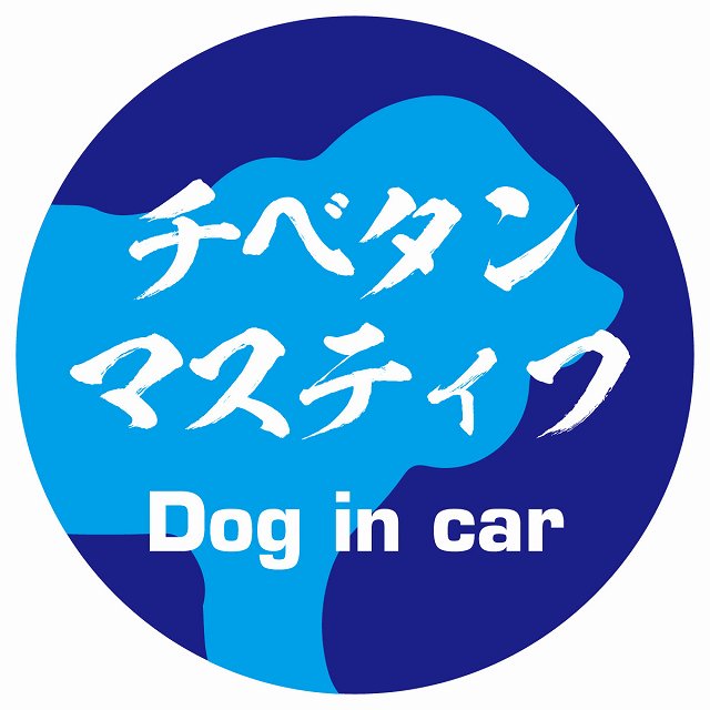 Dog in car チベタンマスティフ 毛筆書体 ブルー ステッカー 直径10cm 丸型 シール カーステッカー