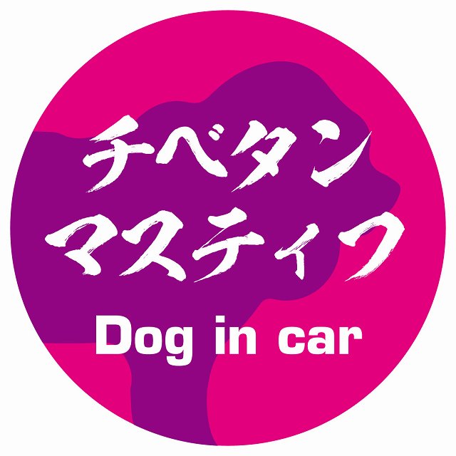 Dog in car チベタンマスティフ 毛筆書体 ピンクパープル ステッカー 直径10cm 丸型 シール カーステッカー