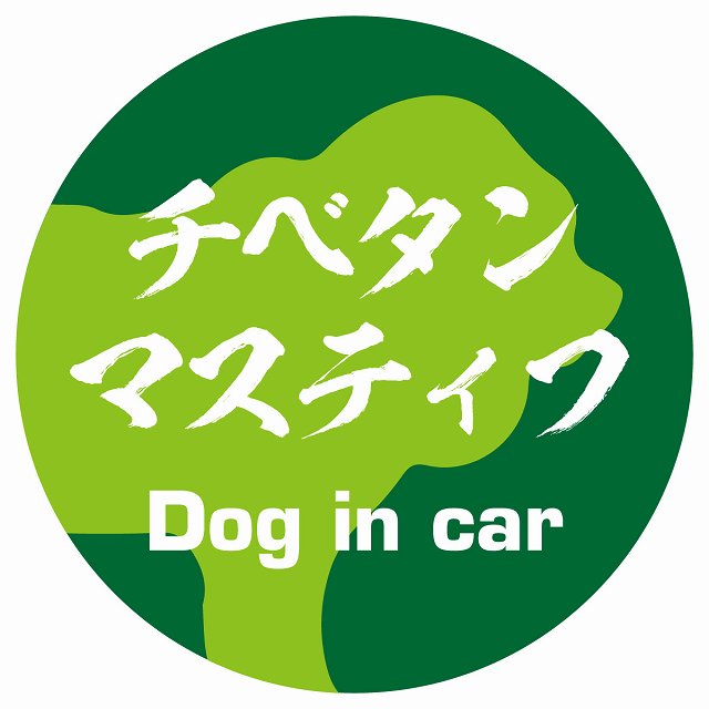 Dog in car チベタンマスティフ 毛筆書体 グリーン ステッカー 直径10cm 丸型 シール カーステッカー