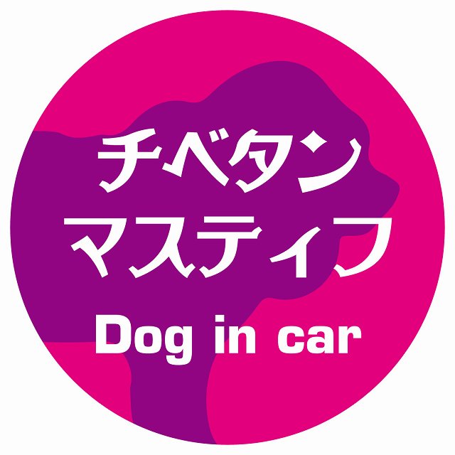 Dog in car チベタンマスティフ レトロ書体 ピンクパープル ステッカー 直径10cm 丸型 シール カーステッカー
