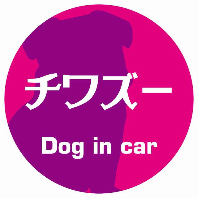 Dog in car チワズー レトロ書体 ピンクパープル ステッカー 直径10cm 丸型 シール カーステッカー