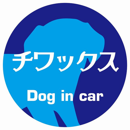 Dog in car チワックス レトロ書体 ブルー ステッカー 直径10cm 丸型 シール カーステッカー