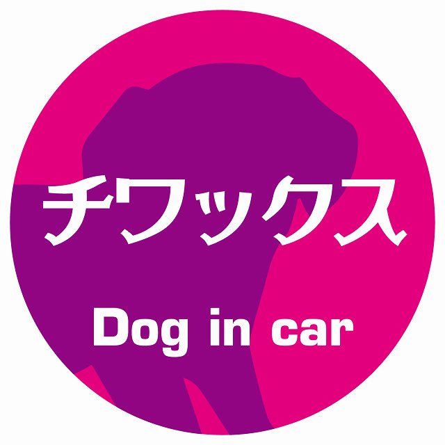 Dog in car チワックス レトロ書体 ピンクパープル ステッカー 直径10cm 丸型 シール カーステッカー