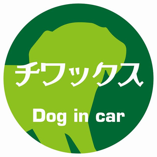 Dog in car チワックス レトロ書体 グリーン ステッカー 直径10cm 丸型 シール カーステッカー