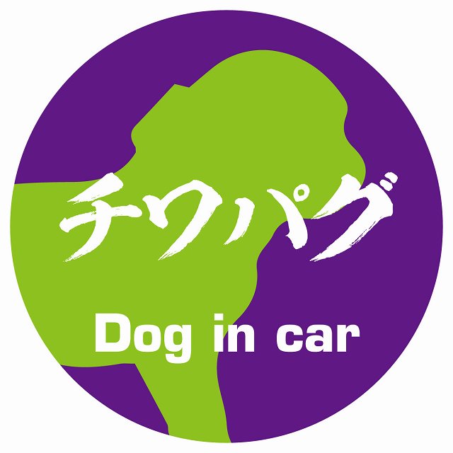 Dog in car チワパグ 毛筆書体 パープルグリーン ステッカー 直径10cm 丸型 シール カーステッカー