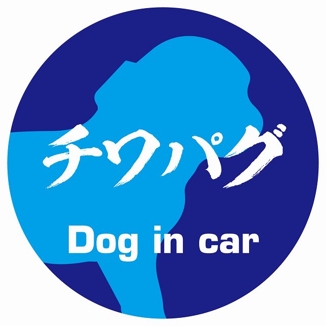 Dog in car チワパグ 毛筆書体 ブルー ステッカー 直径10cm 丸型 シール カーステッカー