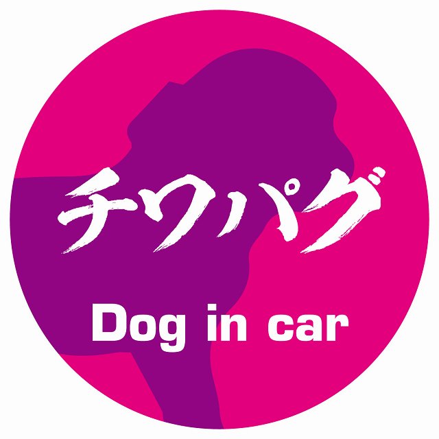 Dog in car チワパグ 毛筆書体 ピンクパープル ステッカー 直径10cm 丸型 シール カーステッカー