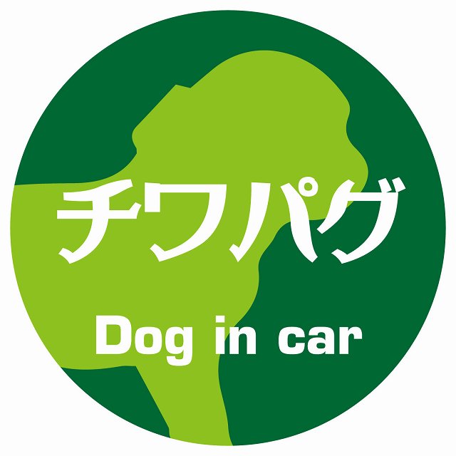 Dog in car チワパグ レトロ書体 グリーン ステッカー 直径10cm 丸型 シール カーステッカー