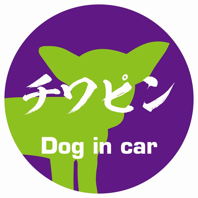 Dog in car チワピン 毛筆書体 パープルグリーン ステッカー 直径10cm 丸型 シール カーステッカー