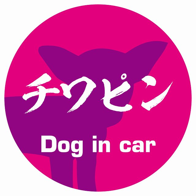 Dog in car チワピン 毛筆書体 ピンクパープル ステッカー 直径10cm 丸型 シール カーステッカー