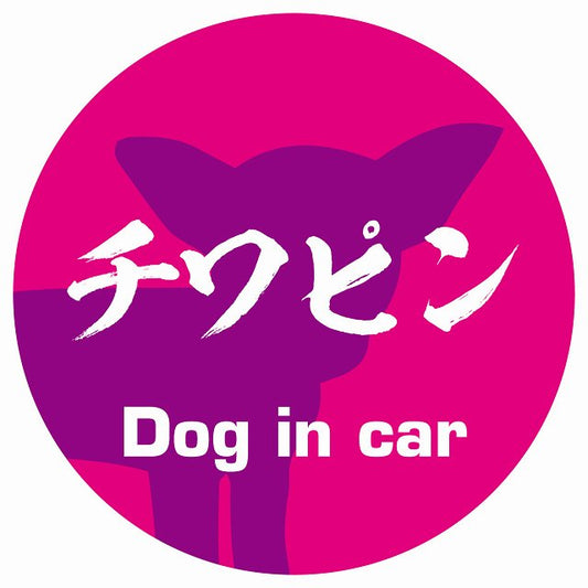Dog in car チワピン 毛筆書体 ピンクパープル ステッカー 直径10cm 丸型 シール カーステッカー