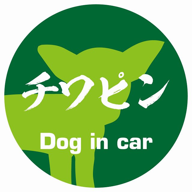 Dog in car チワピン 毛筆書体 グリーン ステッカー 直径10cm 丸型 シール カーステッカー