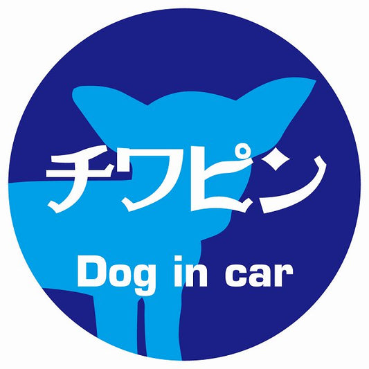 Dog in car チワピン レトロ書体 ブルー ステッカー 直径10cm 丸型 シール カーステッカー