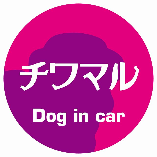 Dog in car チワマル レトロ書体 ピンクパープル ステッカー 直径10cm 丸型 シール カーステッカー