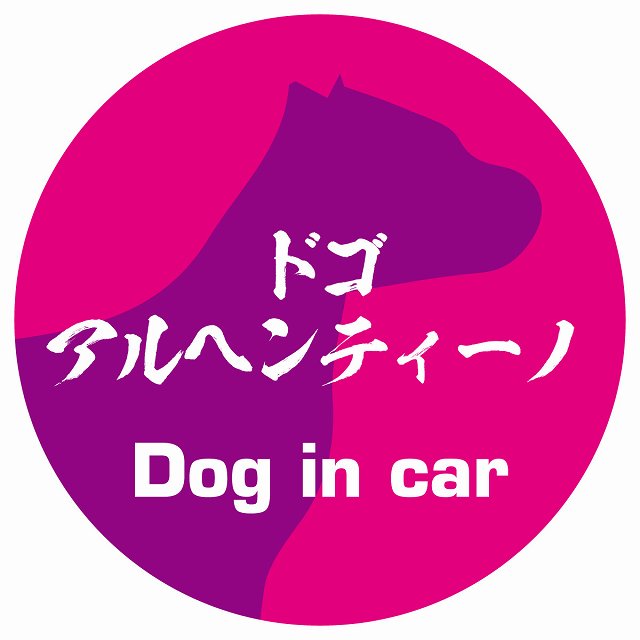 Dog in car ドゴアルヘンティーノ 毛筆書体 ピンクパープル ステッカー 直径10cm 丸型 シール カーステッカー