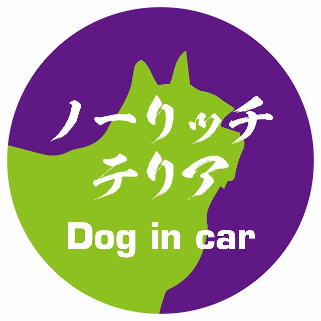 Dog in car ノーリッチテリア 毛筆書体 パープルグリーン ステッカー 直径10cm 丸型 シール カーステッカー