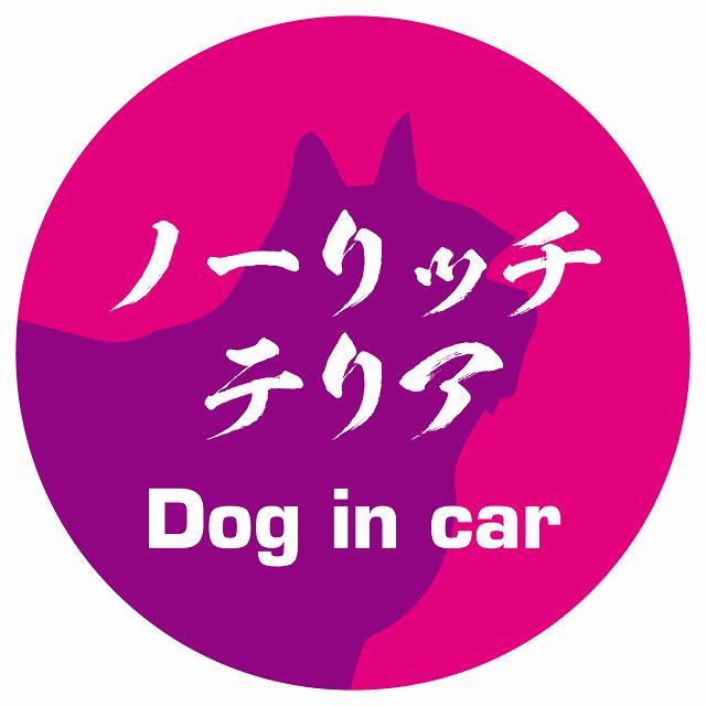 Dog in car ノーリッチテリア 毛筆書体 ピンクパープル ステッカー 直径10cm 丸型 シール カーステッカー