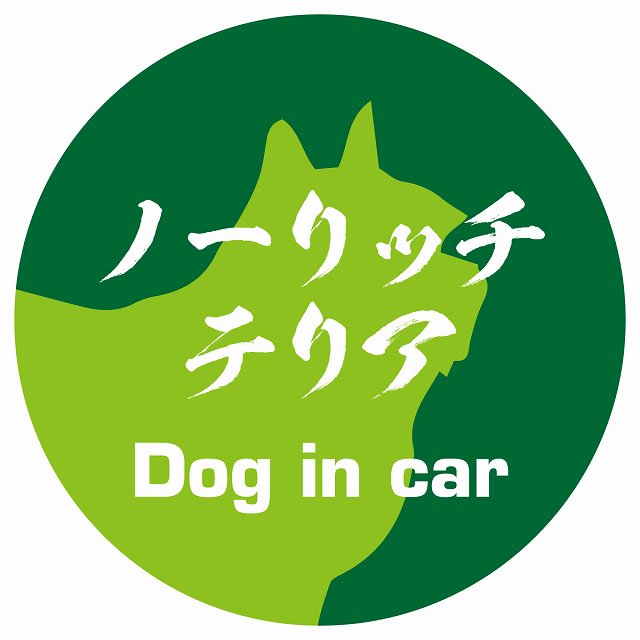 Dog in car ノーリッチテリア 毛筆書体 グリーン ステッカー 直径10cm 丸型 シール カーステッカー