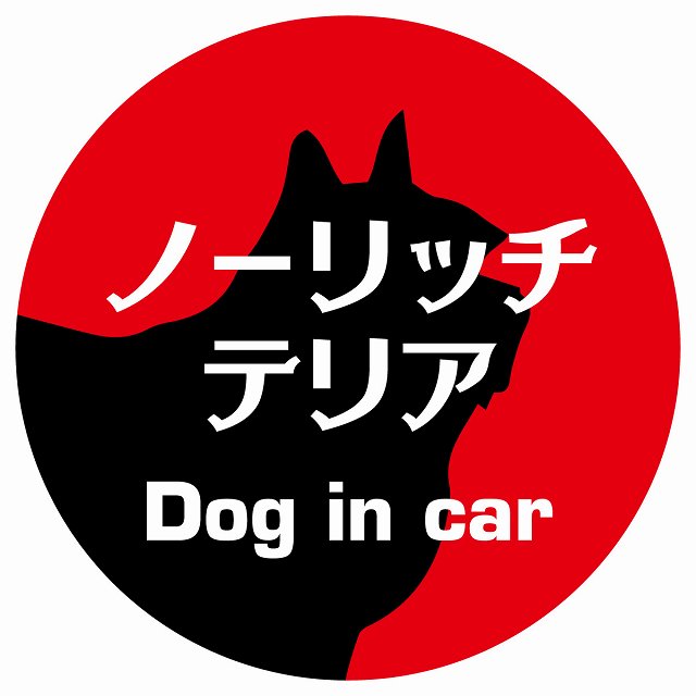 Dog in car ノーリッチテリア レトロ書体 レッド ステッカー 直径10cm 丸型 シール カーステッカー