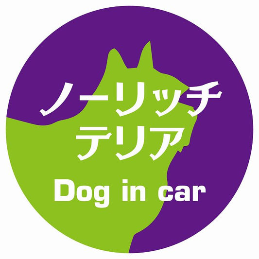 Dog in car ノーリッチテリア レトロ書体 パープルグリーン ステッカー 直径10cm 丸型 シール カーステッカー
