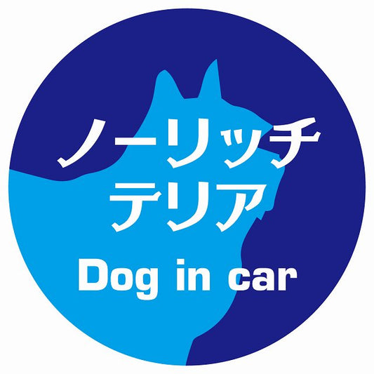 Dog in car ノーリッチテリア レトロ書体 ブルー ステッカー 直径10cm 丸型 シール カーステッカー
