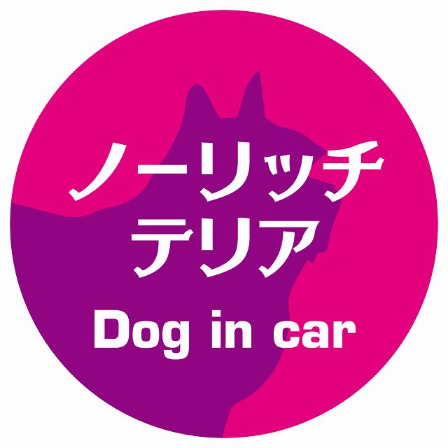Dog in car ノーリッチテリア レトロ書体 ピンクパープル ステッカー 直径10cm 丸型 シール カーステッカー