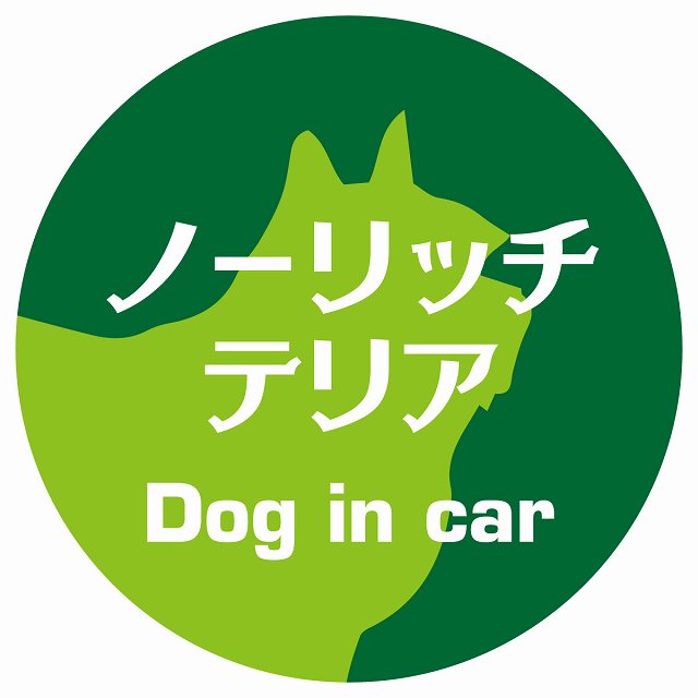 Dog in car ノーリッチテリア レトロ書体 グリーン ステッカー 直径10cm 丸型 シール カーステッカー