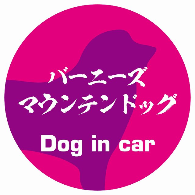 Dog in car バーニーズマウンテンドッグ 毛筆書体 ピンクパープル ステッカー 直径10cm 丸型 シール カーステッカー