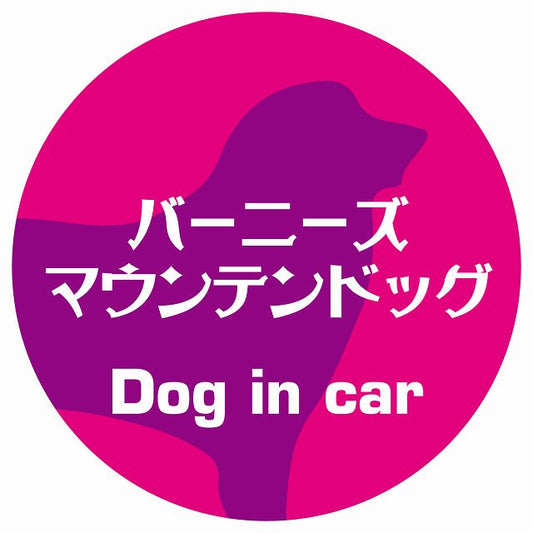 Dog in car バーニーズマウンテンドッグ レトロ書体 ピンクパープル ステッカー 直径10cm 丸型 シール カーステッカー