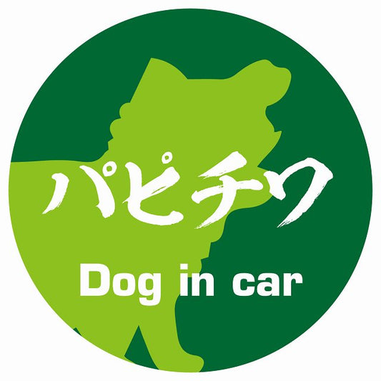 Dog in car パピチワ 毛筆書体 グリーン ステッカー 直径10cm 丸型 シール カーステッカー