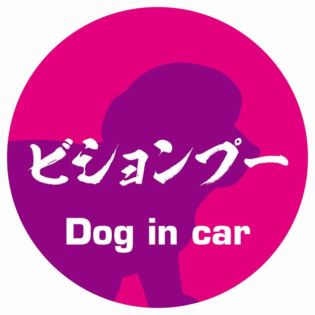 Dog in car ビションプー 毛筆書体 ピンクパープル ステッカー 直径10cm 丸型 シール カーステッカー