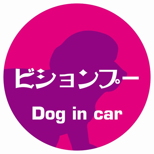 Dog in car ビションプー レトロ書体 ピンクパープル ステッカー 直径10cm 丸型 シール カーステッカー