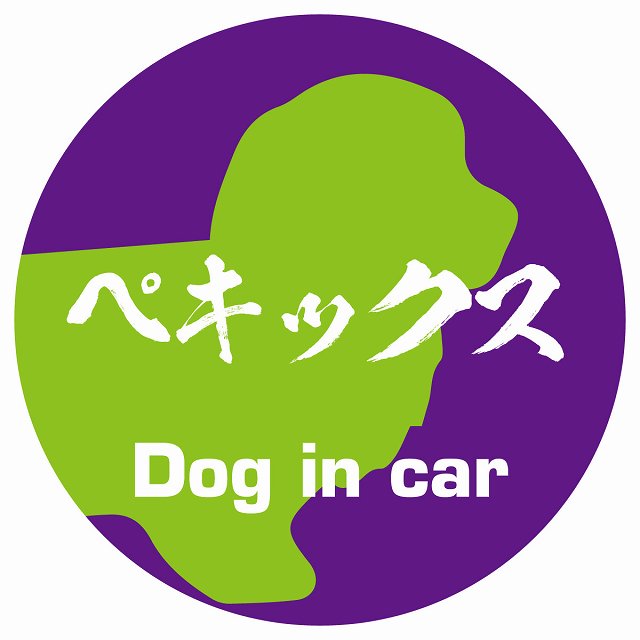 Dog in car ペキックス 毛筆書体 パープルグリーン ステッカー 直径10cm 丸型 シール カーステッカー