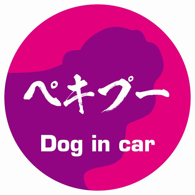 Dog in car ペキプー 毛筆書体 ピンクパープル ステッカー 直径10cm 丸型 シール カーステッカー